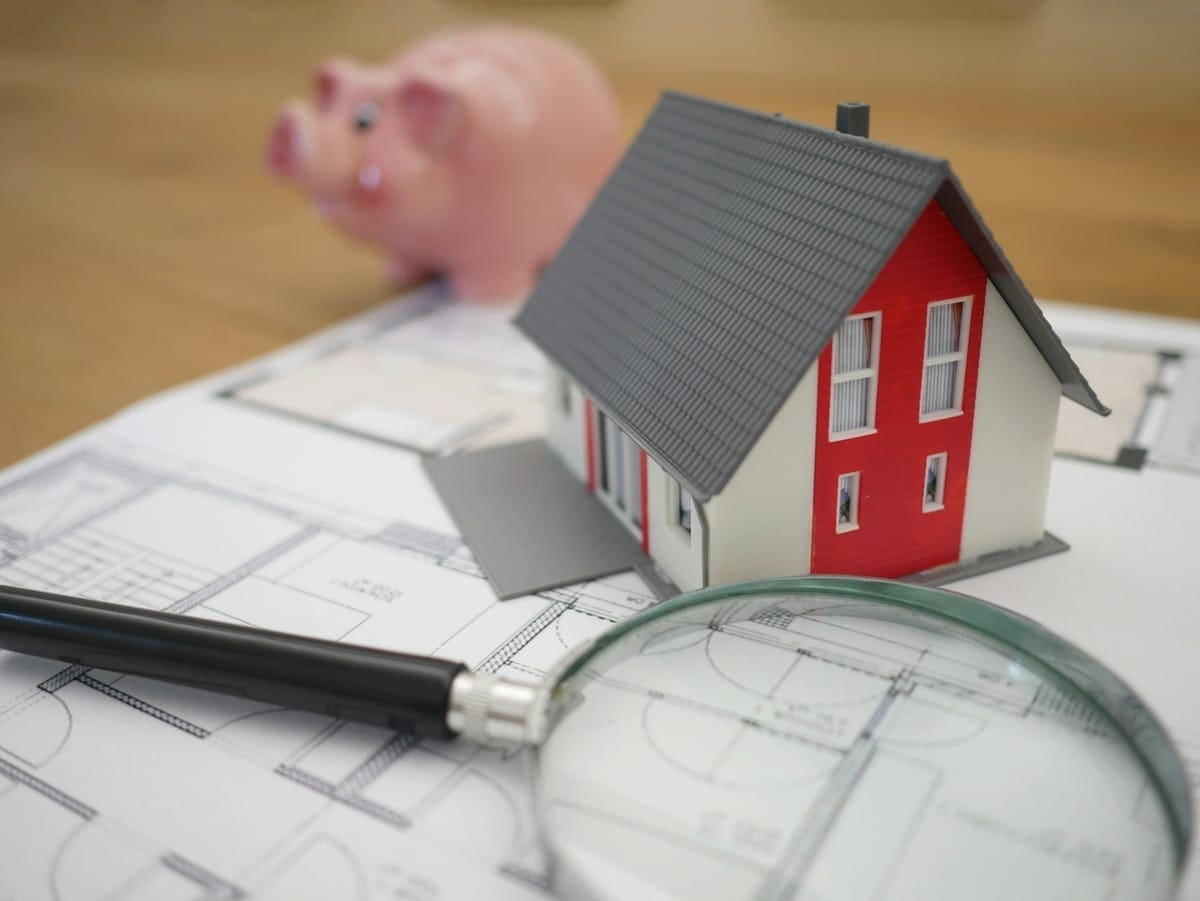 Real estate agent with client